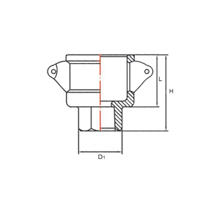 Камлок нержавеющий тип D серия "EcoLine" розетка, внутр. резьба BSP 6", AISI304, TL600DSS-EL TITAN L